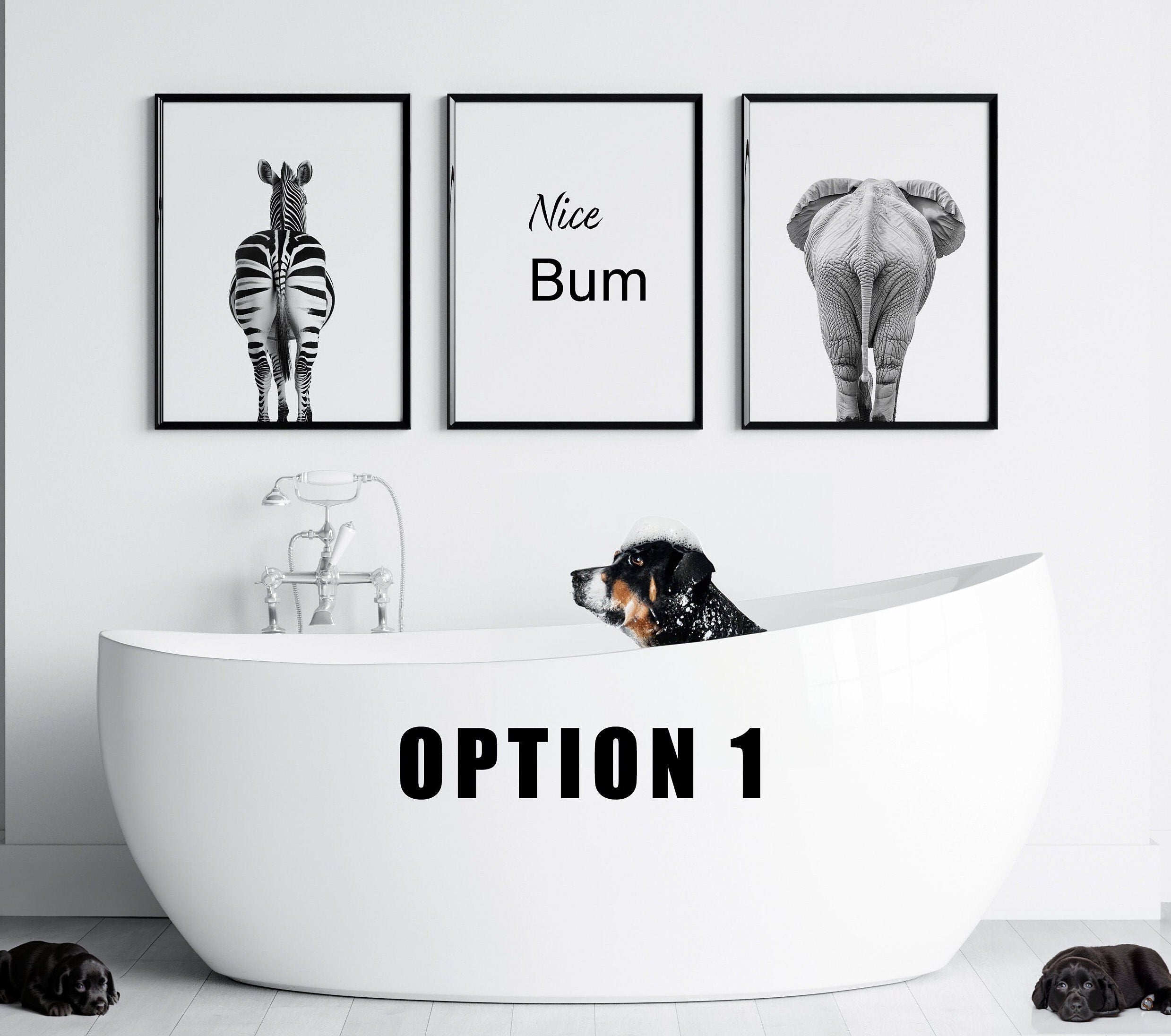 Nice Bum Zebra Elephant Funny Wall Art, Set Of 3s, Funny Bathroom Decor, Printable Animal Portrait, New Home Gift, Funny Quote